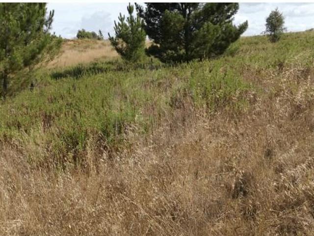 Terreno venda em Sesimbra (Castelo), Sesimbra