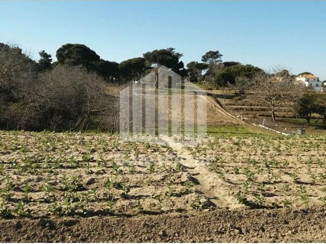 Terreno venda em Castelo, Sesimbra