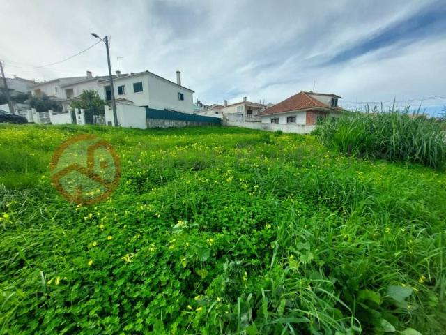 Terreno venda em Sesimbra (Castelo), Sesimbra