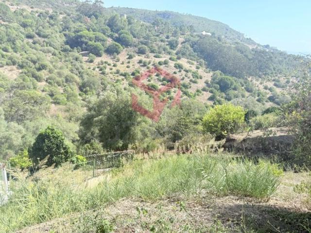Terreno venda em Sesimbra (Castelo), Sesimbra