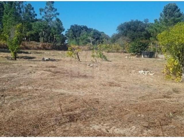 Terreno venda em Sesimbra (Castelo), Sesimbra