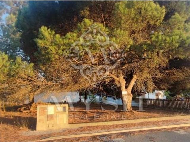Terreno alugar em Sesimbra, Setúbal