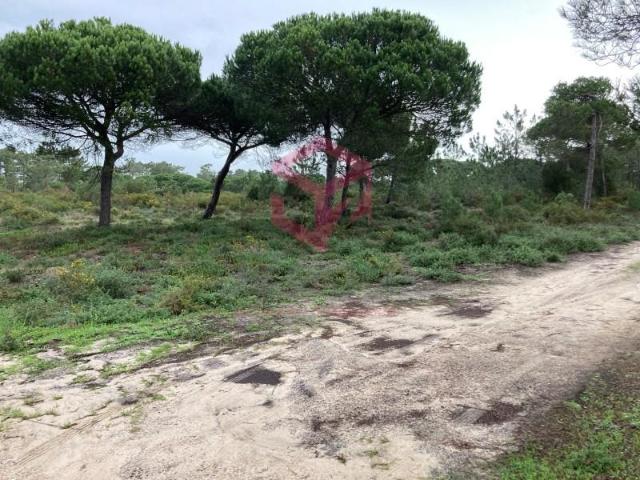 Terreno venda em Sesimbra (Castelo), Sesimbra