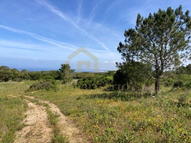 Terreno venda em Sesimbra (Castelo), Sesimbra