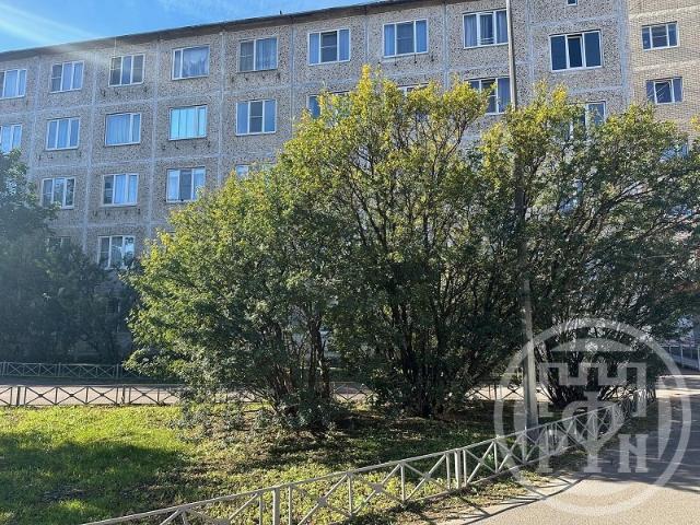 Квартира продажа в Сестрорецк