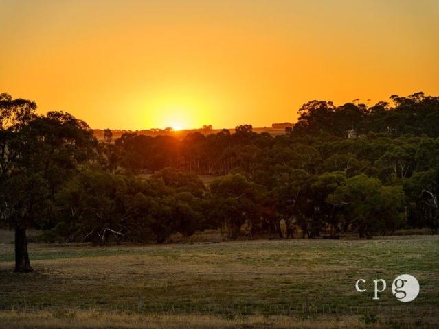 Land for sale in Newstead, Victoria