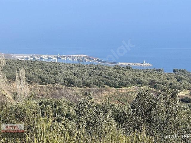 Şarköy, Tekirdağ içerisinde satılık mülk