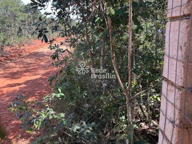 Sítio e chácara venda em Região Geográfica Imediata do Distrito Federal, Região Integrada de Desenvolvimento do Distrito Federal e Entorno