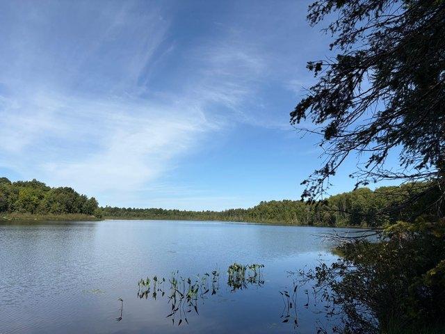 Land for sale in Minocqua, Wisconsin
