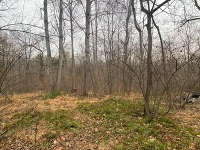 Land for sale in Virginia