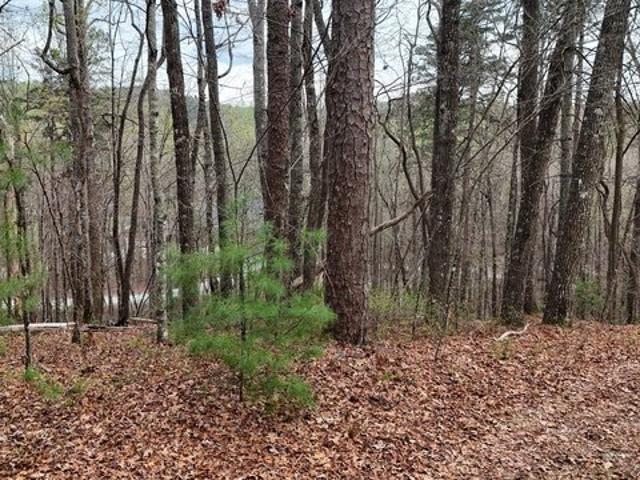 Land for sale in Tiger, Rabun County