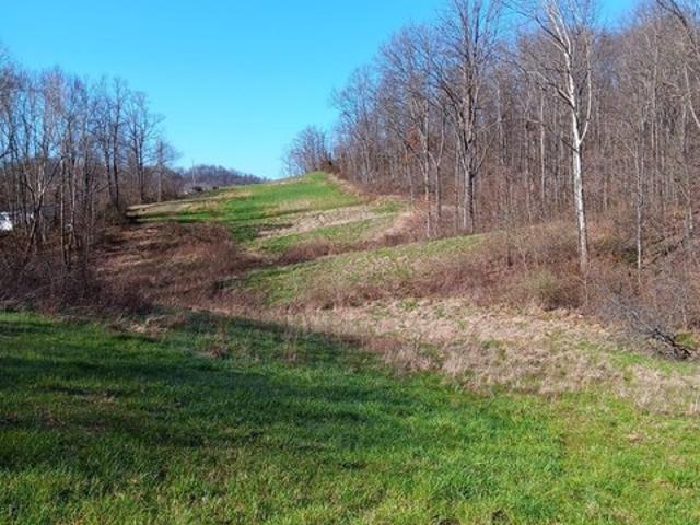 Land for sale in Albany, Ohio