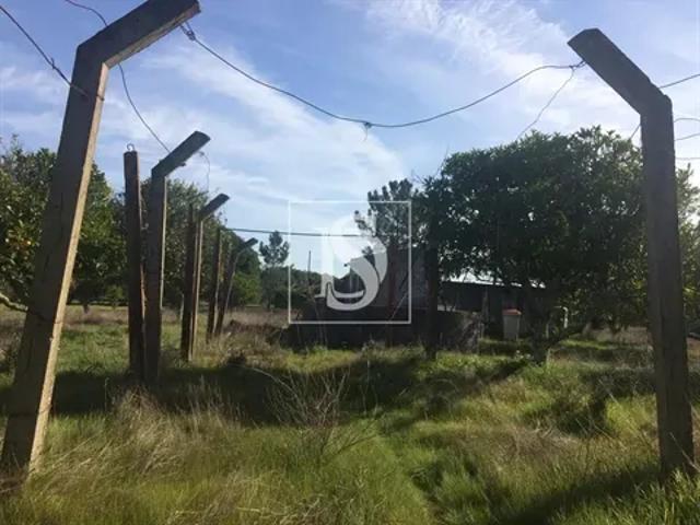 Terreno venda em Alcácer do Sal, Setúbal