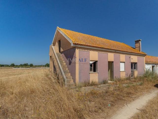 Terreno venda em Jardia, Montijo
