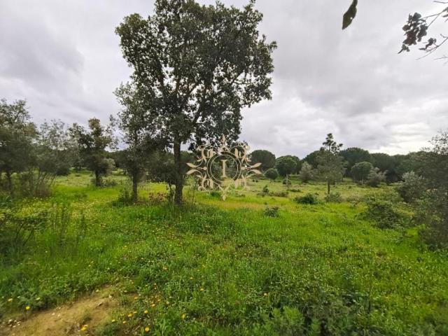 Terreno venda em Bairro Almansor, Montijo