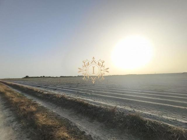 Terreno venda em Pegões, Montijo