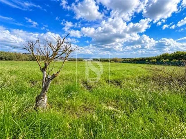 Terreno venda em INTERSET – Entreposto Internacional de Setúbal, SA, Palmela