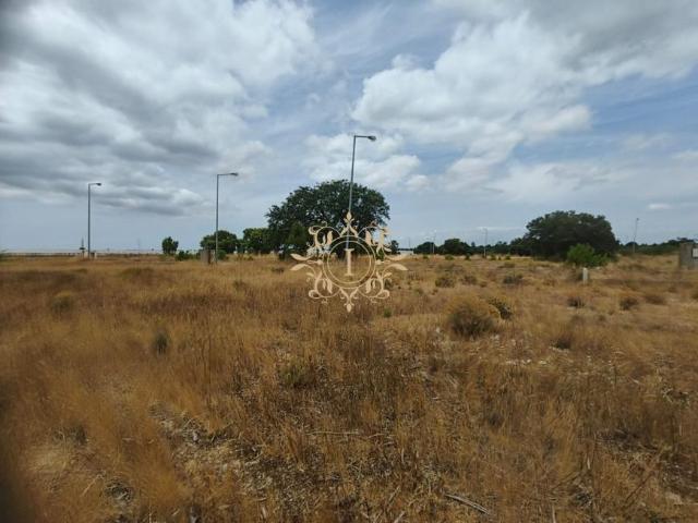 Terreno venda em Palmela, Setúbal