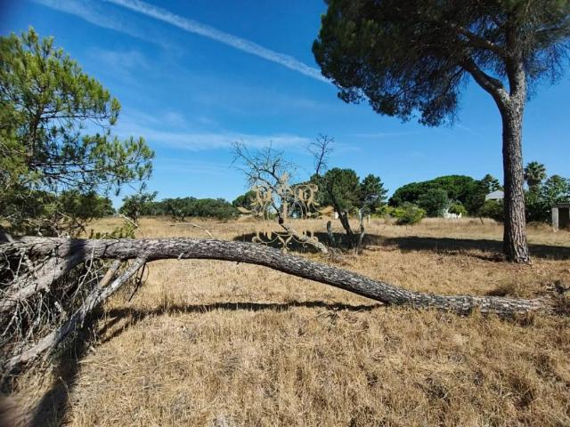 Terreno venda em Poceirão e Marateca, Palmela