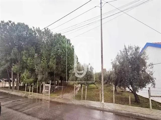 Terreno venda em Santiago do Cacém, Setúbal
