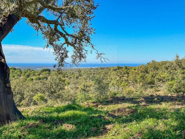 Terreno venda em Santiago Do Cacém, Setúbal