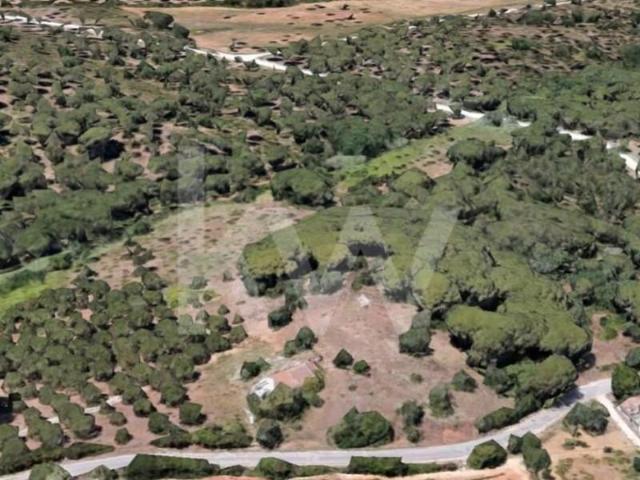 Terreno venda em Azeitão (São Lourenço e São Simão), Setúbal
