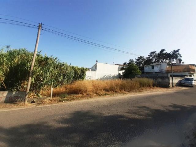 Terreno venda em Azeitão (São Lourenço e São Simão), Setúbal