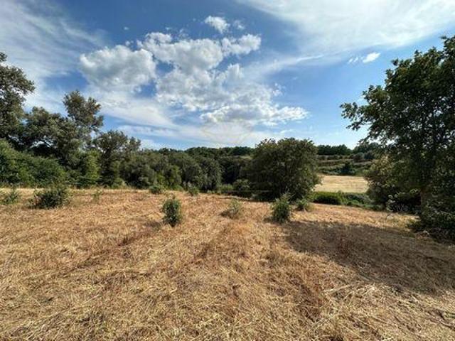 Terreno venda em Azeitão (São Lourenço e São Simão), Setúbal