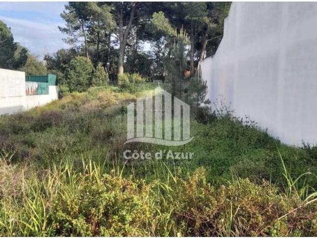 Terreno venda em Azeitão (São Lourenço e São Simão), Setúbal