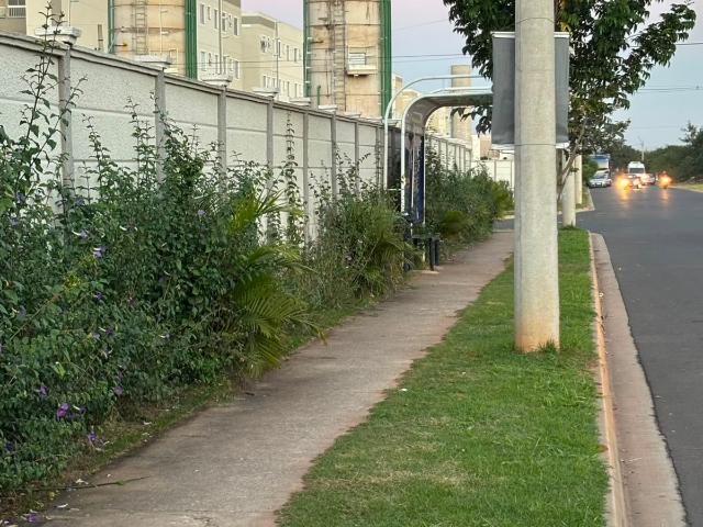 Apartamento aluguel em Jardim Colinas de São João, Limeira