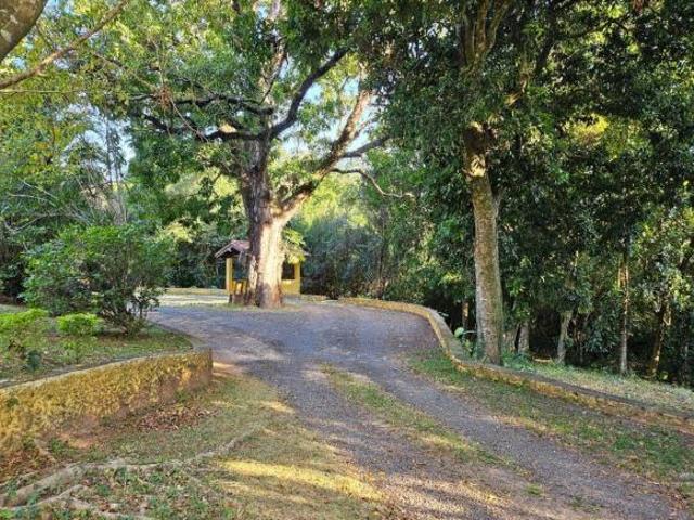 Sítio e chácara venda em Região Imediata de Mogi Guaçu, Itapira