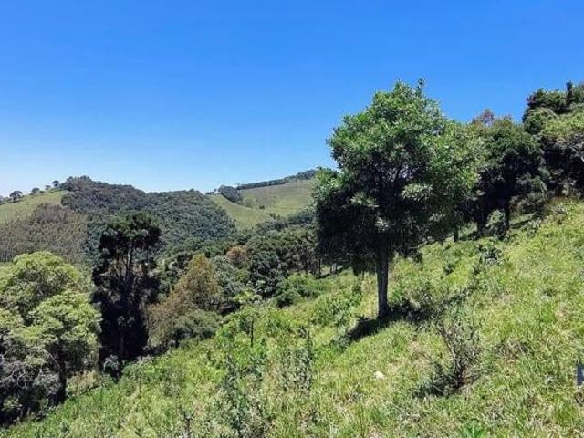Terreno venda em Região Geográfica Imediata de Pouso Alegre, Córrego do Bom Jesus