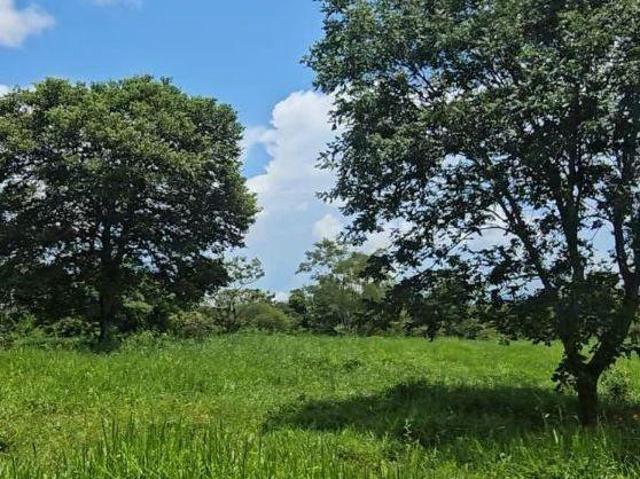 Sítio e chácara venda em Região Geográfica Imediata de Unaí, Região Integrada de Desenvolvimento do Distrito Federal e Entorno