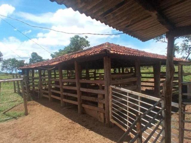 Sítio e chácara venda em Região Geográfica Imediata de Unaí, Região Integrada de Desenvolvimento do Distrito Federal e Entorno
