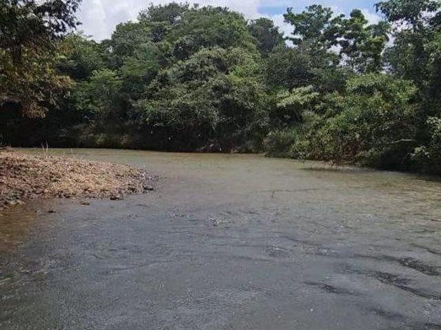 Sítio e chácara venda em Região Geográfica Imediata de Unaí, Região Integrada de Desenvolvimento do Distrito Federal e Entorno