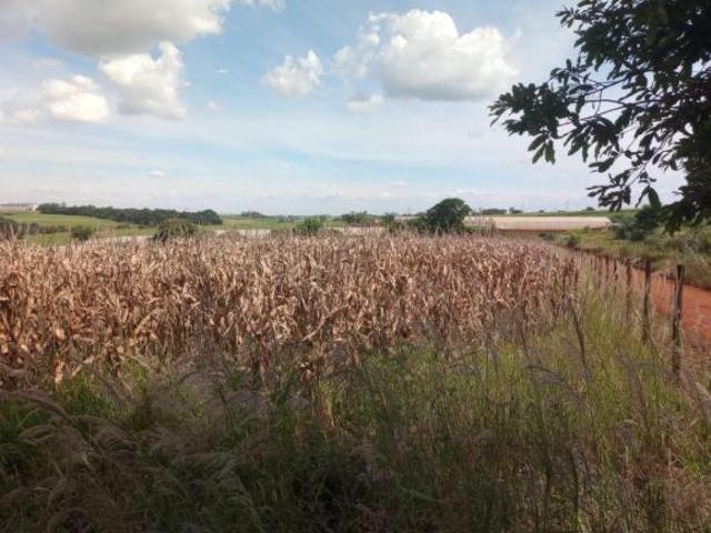 Sítio e chácara venda em Sítio Novo, Região Nordeste