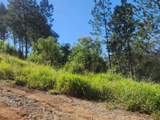 Terreno venda em Região Imediata de Sorocaba, Região Metropolitana de Sorocaba