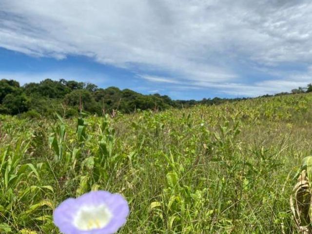 Terreno venda em Região Imediata de Sorocaba, Região Metropolitana de Sorocaba