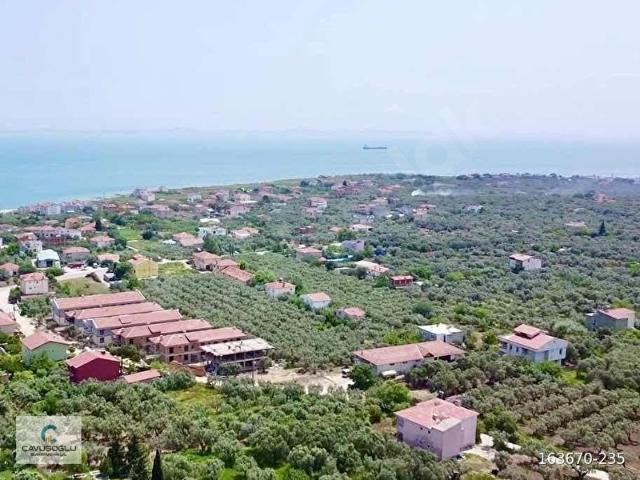 Eriklice, Şarköy içerisinde satılık mülk