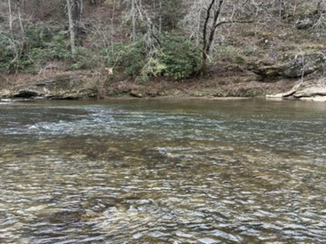 Land for sale in Stokes, North Carolina