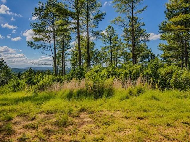 Land for sale in Pickens, Georgia