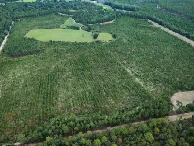Land for sale in Barnwell
