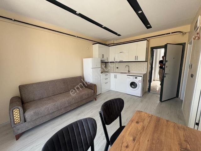 Tokat Merkez, Tokat içerisinde kiralık mülk