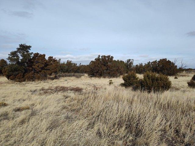 Land for sale in Mountainair, Torrance County