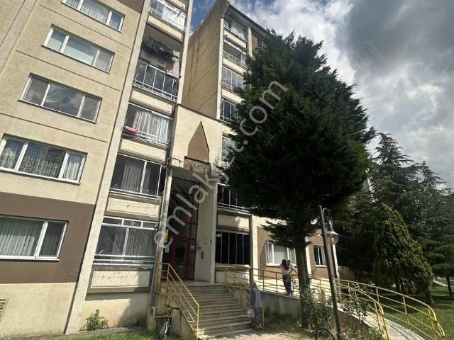 Çarşamba, Samsun içerisinde kiralık mülk