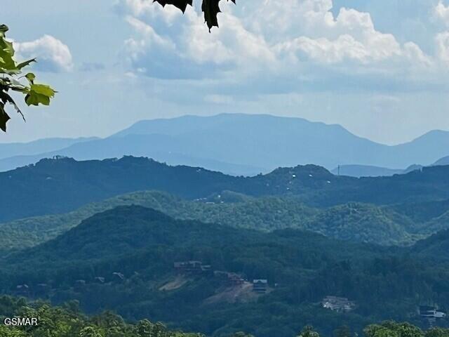 Land for sale in Tennessee