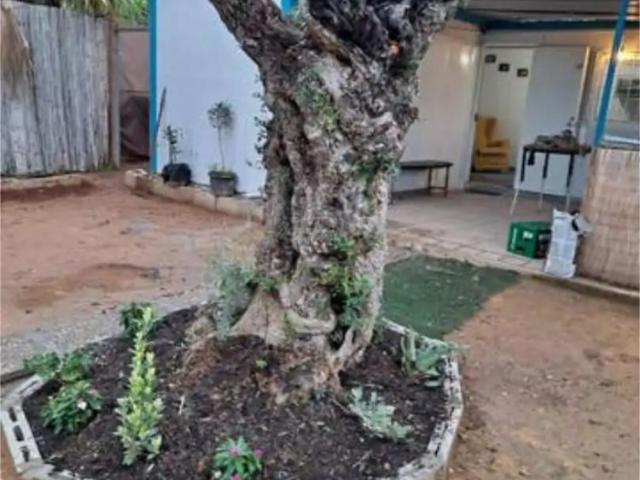 Apartamento en alquiler en Casco Antiguo, Sevilla