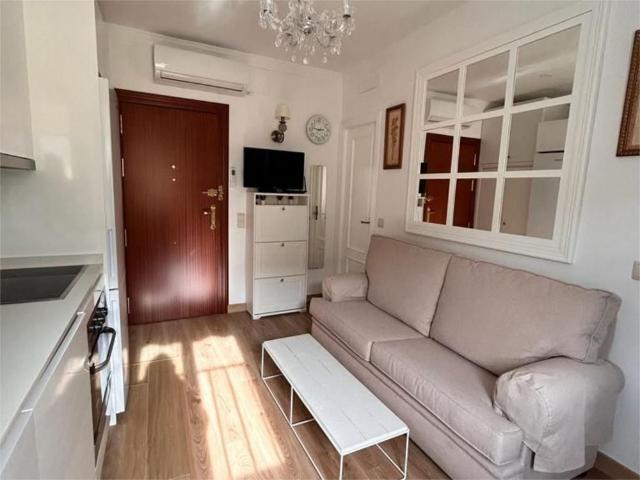 Apartamento en alquiler en Casco Antiguo, Sevilla