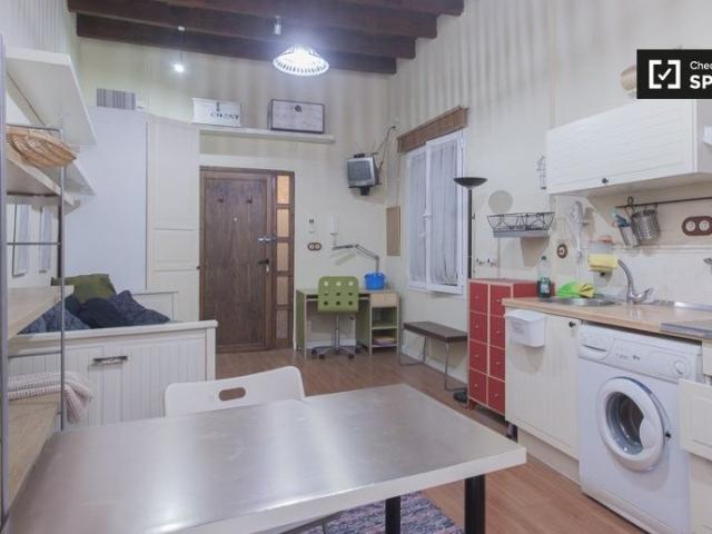 Apartamento en alquiler en Casco Antiguo, Sevilla