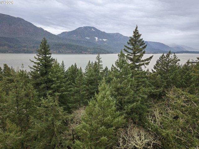 Land for sale in Carson, Washington